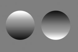 The circle on the left is usually perceived as convex, while the circle on the right is usually perceived to be concave.