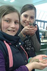 Holding leopard geckos at part of last year’s event are Robin Scanlan (left) and Megan Elias.