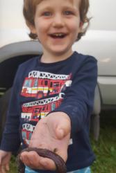 A delighted young bait collector.