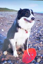 Barney with his find on Silecroft beach, Cumbria.