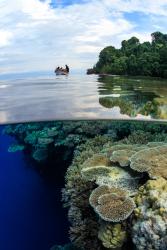 Coral reefs lie close to the coast in many areas: image credit: Tane Sinclair Taylor