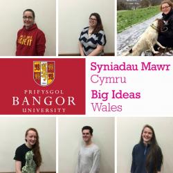 Rownd derfynol Syniadau Mawr Cymru: (O'r gornel chwith uchaf): Bethany Fox, Alana Nicol, Jenny Light-Foot, Jemima Letts, Joe Kaufman, Rhiannon Williams