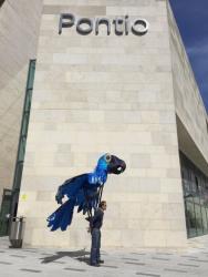 Carnival of Flight outside Pontio