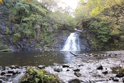 Afon Prysor, Ceunant Llennyrch National Nature Reserve