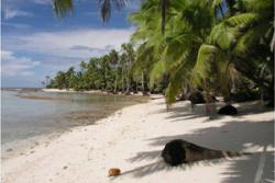 One of the deserted Chagos Islands.