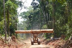 Roads built for logging in the Congo Basin have implications for forest management.: Image courtesy: Fritz Kleinschroth