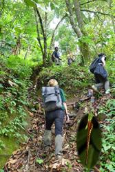 The team had to face many challenges including the steep terrain, leeches (inset), sandflies and torrential rain during the trip.: Photo credit: Anita Malhotra