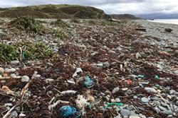 An example of the litter which faced the volunteers