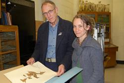 Dr Sophie Williams shows Dr Colin Clubbe some of the samples from the herbarium, which is soon to be digitised.