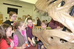 Young visitors to last year’s Hidden Worlds Exhibition