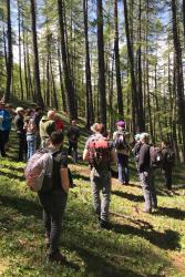 High larch forest incorporating traditional grazing practices.