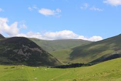 The upland ffridd at Henfaes – a site important for sheep farming, biodiversity, and carbon storage, as well as a number of the University’s experiments.   