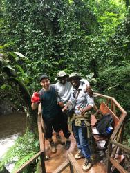 DL MSc Tropical Forestry students, Tom Woolnough, Sebastian Walaita and Ambrose Ahimbisibwe in Atewa Forest Reserve, July 2017 : (© James Walmsley).