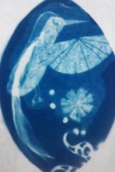 Arbrofi gydag argraffu cyanotype yn Sir Ddinbych..