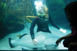 Kate in the aquarium