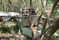 An example of modern hives lying abandoned : image credit: Deborah Amulen