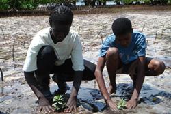 Mangrove planting in Kenya.