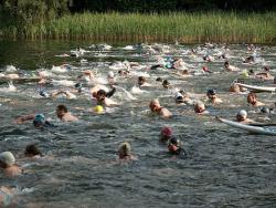 Staff and students at their traditional lunchtime swim in lake Krumme Lanke, a short stroll from the Free University Berlin campus