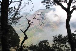 Mount Lico emerges through the tree canopy.