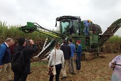 The NUCLEUS team observing sugar cane harvesting in Brazil