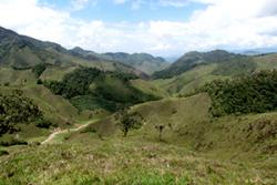 Western Andes forest in varying stages of regeneration, mixed in with cattle pasture.: image:Paul Woodcock