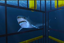 Amongst other things, Ocean Rift will allow you to experience a shark cage!