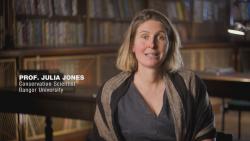 Prof Julia Jones appearing on Extinction: The Facts