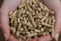 Wood is turned into ‘pellets’ before being shipped away and eventually burnt.  : Andrew_Writer, CC BY