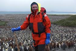 Dr Phil Trathan in South Georgia counting king penguins, another aspect of his work.