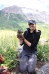 Line Cordes trapping marmots: © Graeme Shannon