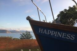 Llun allan o ffilm fer Matt Mellings, Searching for Happiness