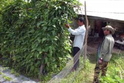 Rural farmers in Cambodia: Provided by our partners