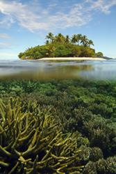 Coral reefs are sensitive to climate change : Image credit Jeffrey Maynard