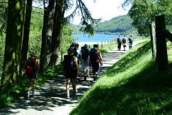 Criw'n cerdded ger Llyn Crafnant: Credyd llun: Simon Burke