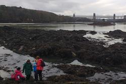  Our rocky shoreline provides  a wealth of habitats. 