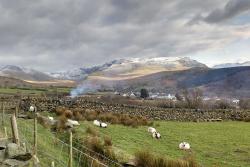 The local landscape highlights the diversity of land uses typical of Wales. In the foreground, sheep graze and open grasslands stretch to the hills. Behind Bethesda, forest plantations can be seen, and beyond, the mountains of Snowdonia.