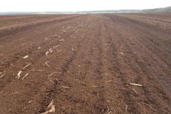 A Canadian peat extraction site.