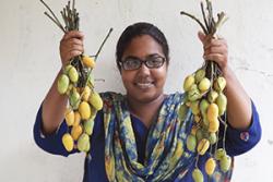 Senior author Sayma Akhter with wild mango fruit.