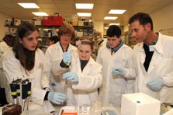 Lefr-right, Harry Owen, Mrs Lyndell Williams, Head of Biology at Ysgol Bodedern; Dionn Hargreaves, Harry Williams and Professor Gary Carvalho contributing to their exciting lab work, part of their climate change project.