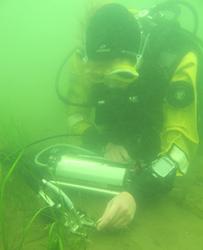 Charlotte diving in Finland