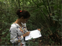 Data collection as part of the student-led research project on the Tropical Forestry Study Tour.  This group were investigating the effects of different silvicultural treatments on forest stand structure and carbon stocks. © James Walmsley