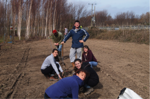 Working as a team, the students ensured the young trees were planted at the correct depth and spacing to ensure their survival and growth