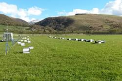 Recent experiment exploring the nitrogen use efficiency of novel fertiliser products at Henfaes Research Centre