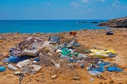 Wherever you are in the world, you'll find litter along the shoreline.