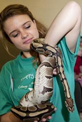 A student handles a non-venomous snake during a previous ‘Hidden Worlds’ event