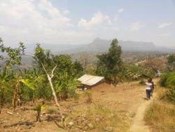 Landscape in Namabya Sub-county, Manafwa District of Eastern Uganda. Photograph taken by Anne Kuria, March 2014.