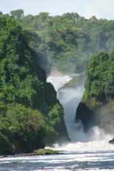 An African waterfall thunders through a forest.